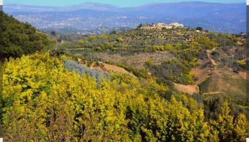 Studio indépendant climatisé - Foto 3