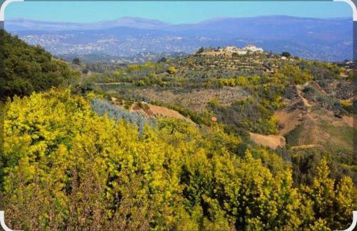 Studio indépendant climatisé - Foto 3