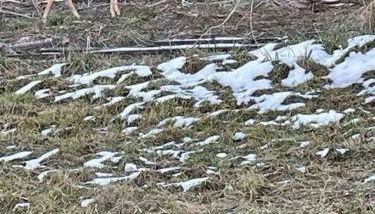 Farmhouse with game room, fire pit and creek - Foto 5