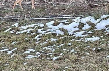 Farmhouse with game room, fire pit and creek - Foto 5