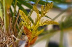 Ferienapartment Wilma - Foto 32