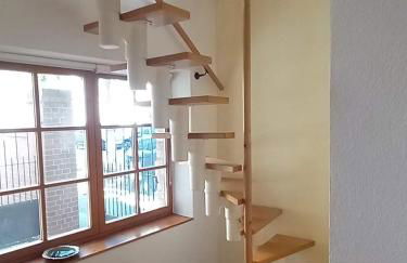 Die kleine Oase - Foto 6