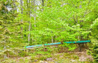 Catskill Cabin Bird of Paradise 7 - Foto 16