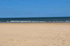 The Salty Sea Dog - Dog friendly and 2 minutes walk to the beautiful, golden beach - Foto 10