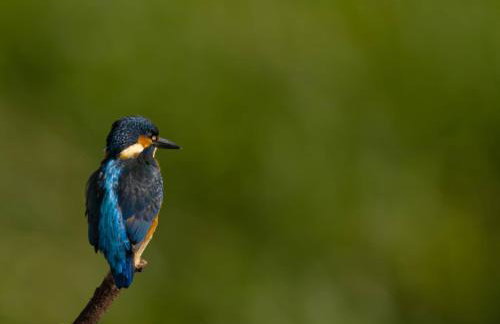 Elm Tree Cottage - Photo 6