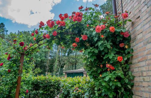 I Due Cipressi - Foto 31