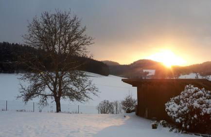 Ferienwohnung Eichkatzel - Foto 46