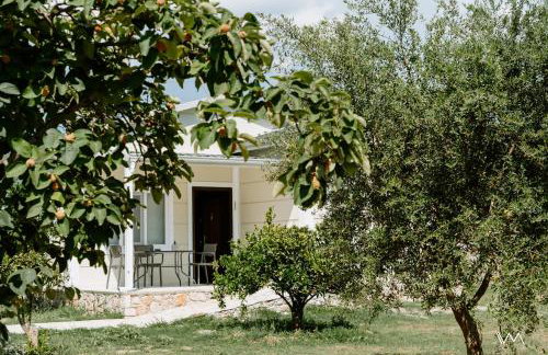 Oikies Verde - Foto 57