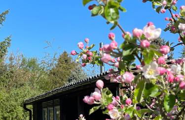 Haus 8 am Grimnitzsee mit Sauna - Photo 23