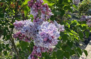 Ferienwohnung am Höhrenberg - Foto 23