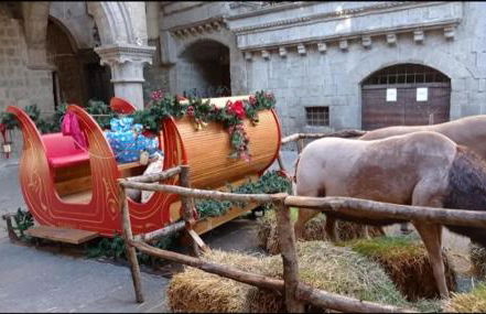 Appartamento nella Tuscia La Pucciarella - Foto 19