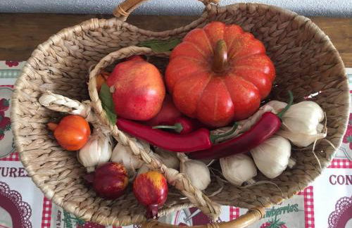 Casa Lisetta - Foto 8