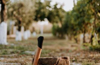 Kuća za odmor Fjaka - Foto 27