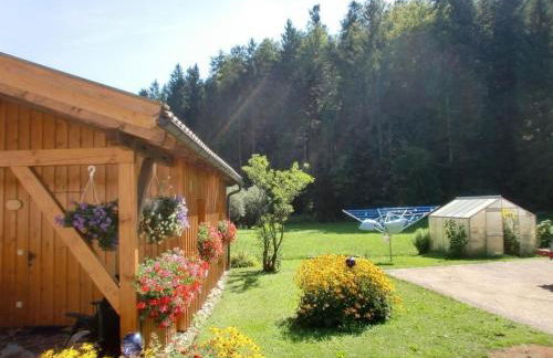 Holiday Home in Röhrnbach mit Grill und Terrasse by Interhome - Foto 2