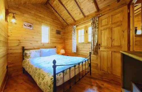 Bears House - Foto 13