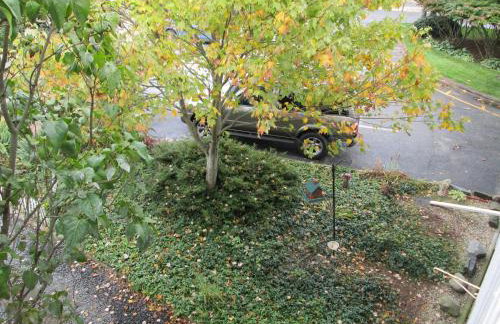 Eastwood at Provincetown - Foto 25