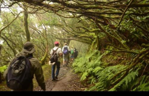 Anaga Playa Benijo 2 Paraíso Rural Trail-Beach - Foto 32