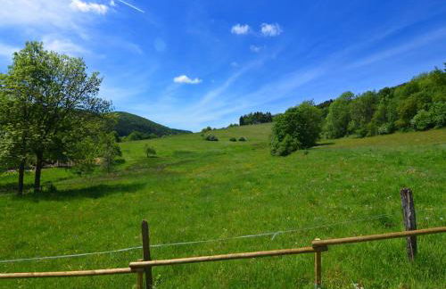 Naturrefugium bei Willingen - Foto 25
