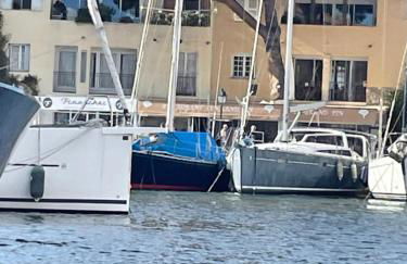 Port Grimaud le Grand Pin - Foto 1