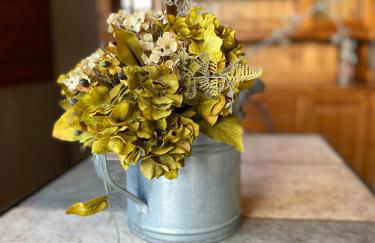 il tulipano - Photo 33