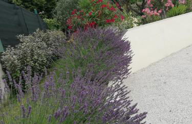 Sophie et Jamiel - Foto 11