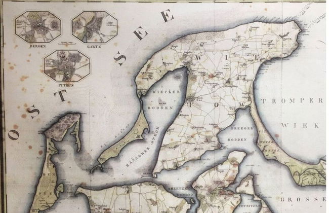 Black-headed Gull Comfortable Holiday Residence - Foto 17