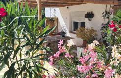 La Sureña - Photo 1