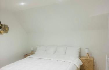 wihi-loges - Appartement type grand T2, calme, centre-ville de Nevers - Foto 28