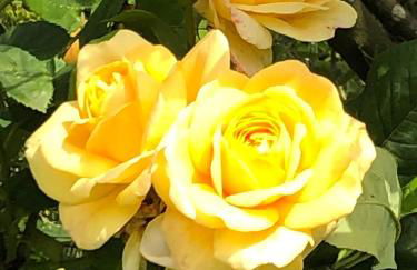 The Old Cheese Press, Eckington - Foto 27