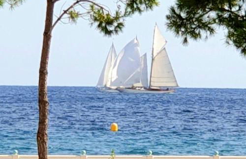 Garden and beach sea view apartment Cannes - Foto 20
