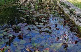 Gîte La Pequelette - Foto 25