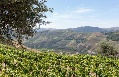 Casa de Casal de Loivos - Foto 113