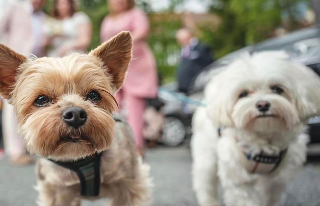 My Story Sopot Apartments - Foto 45