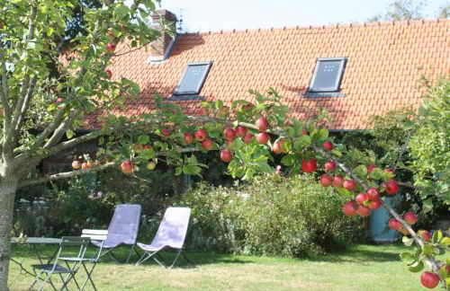 Petite Maison - Foto 6