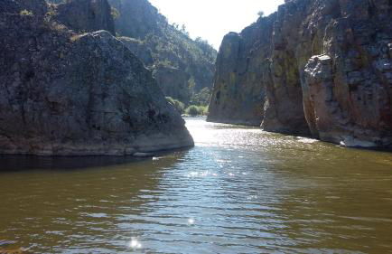 Casas dos Carregais - Foto 6