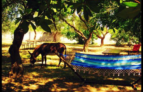Agriturismo Antares - Foto 10