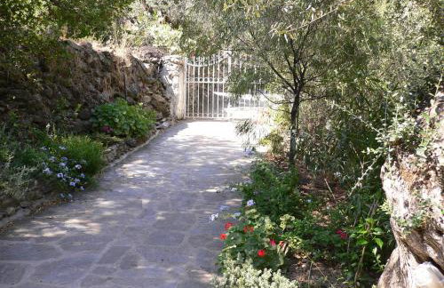 Studios Kyparissi & Spa - Photo 7