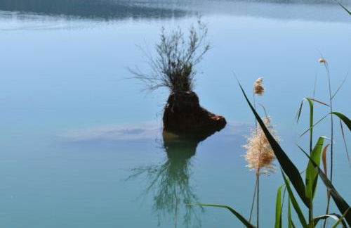 Casamarcati - Foto 11