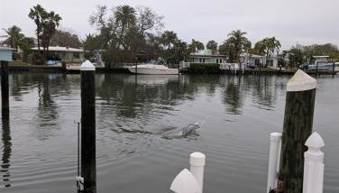 The Salty Cove IRB - Foto 3