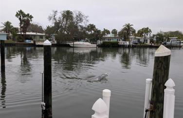 The Salty Cove IRB - Foto 3