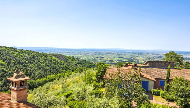 Donatello - Foto 3, View