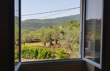 Villa Mas Fa Susa 3 étoiles avec piscine - Foto 7