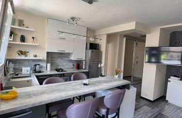 Elegant Apartment Terrace Port of Nice - Photo 1