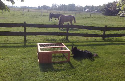 Ferienhof Schattmann - Foto 6