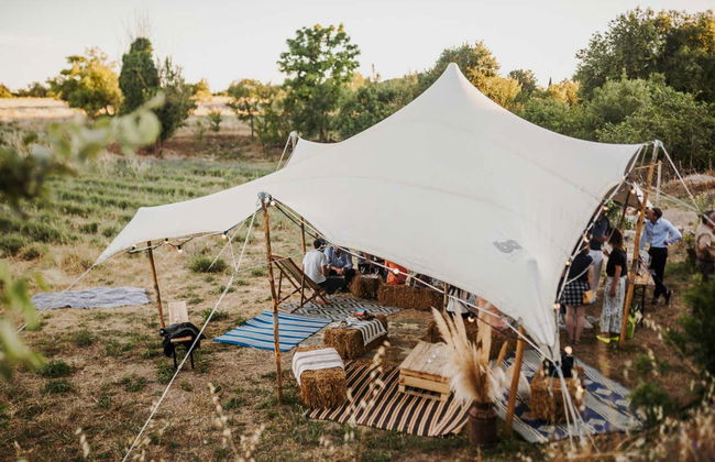 Entrance to Lavender Fields - Photo 7