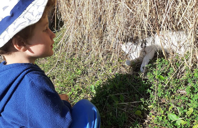 Retreat Holiday in Cozy Traditional House - Photo 43