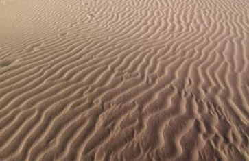 Mama Yumbo - Foto 52