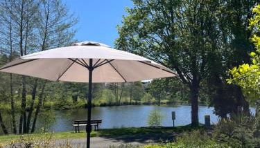 Cosy Cottage on the Lake - Foto 1, Garden