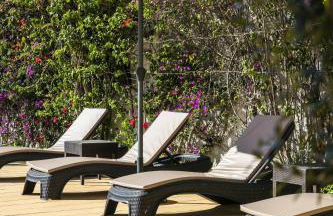 The Palm House - Foto 16