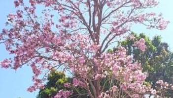 CASA MOTO GP BRASIL GYN - 11 Acomodações - Foto 2